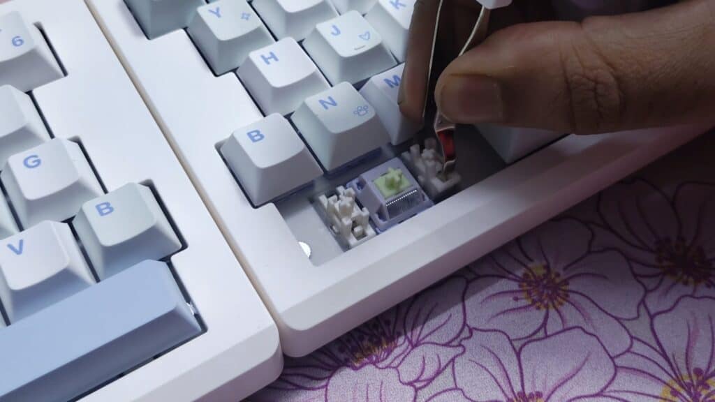Wisteria Linear Switches v2