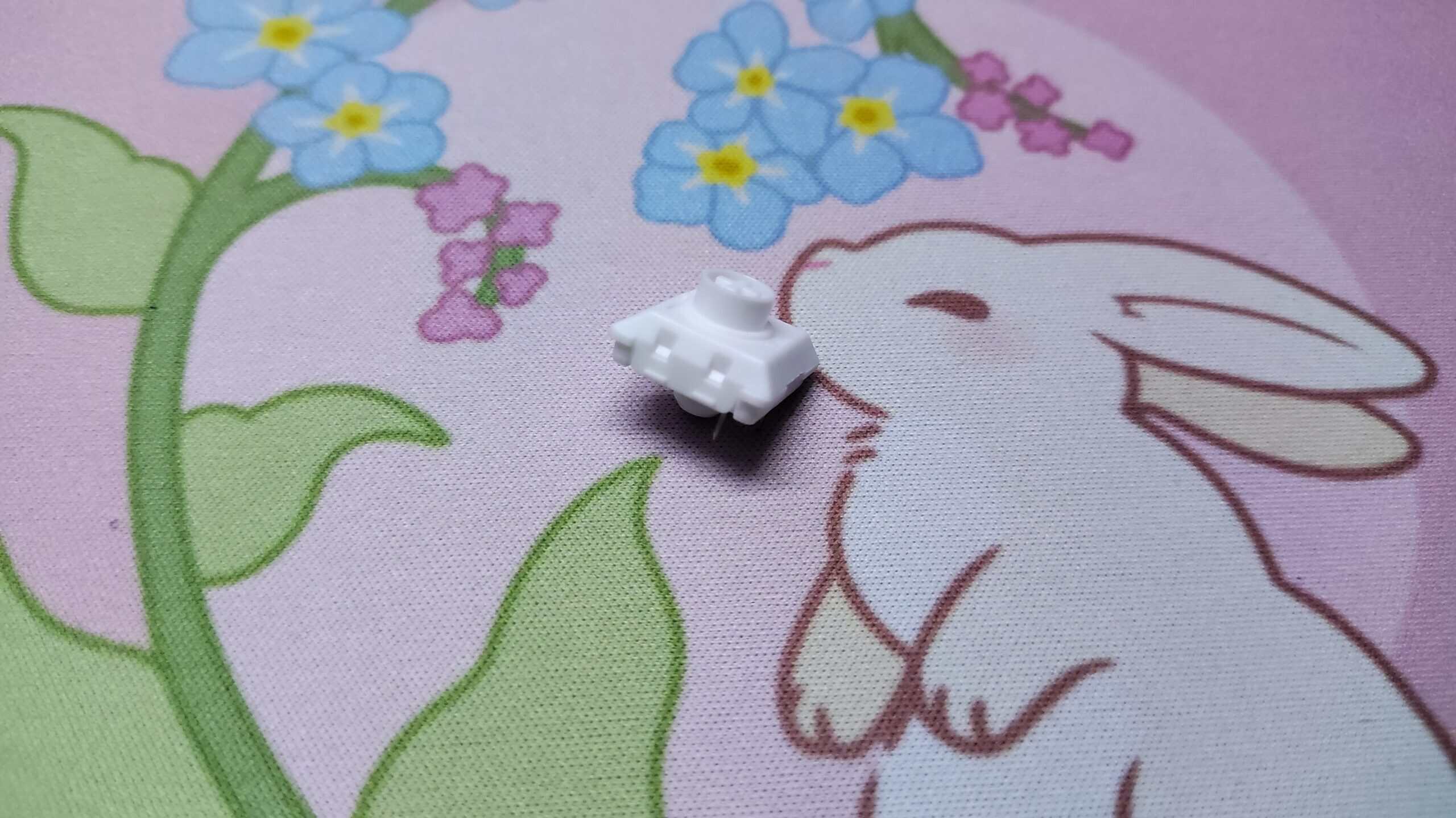Kailh White Rain