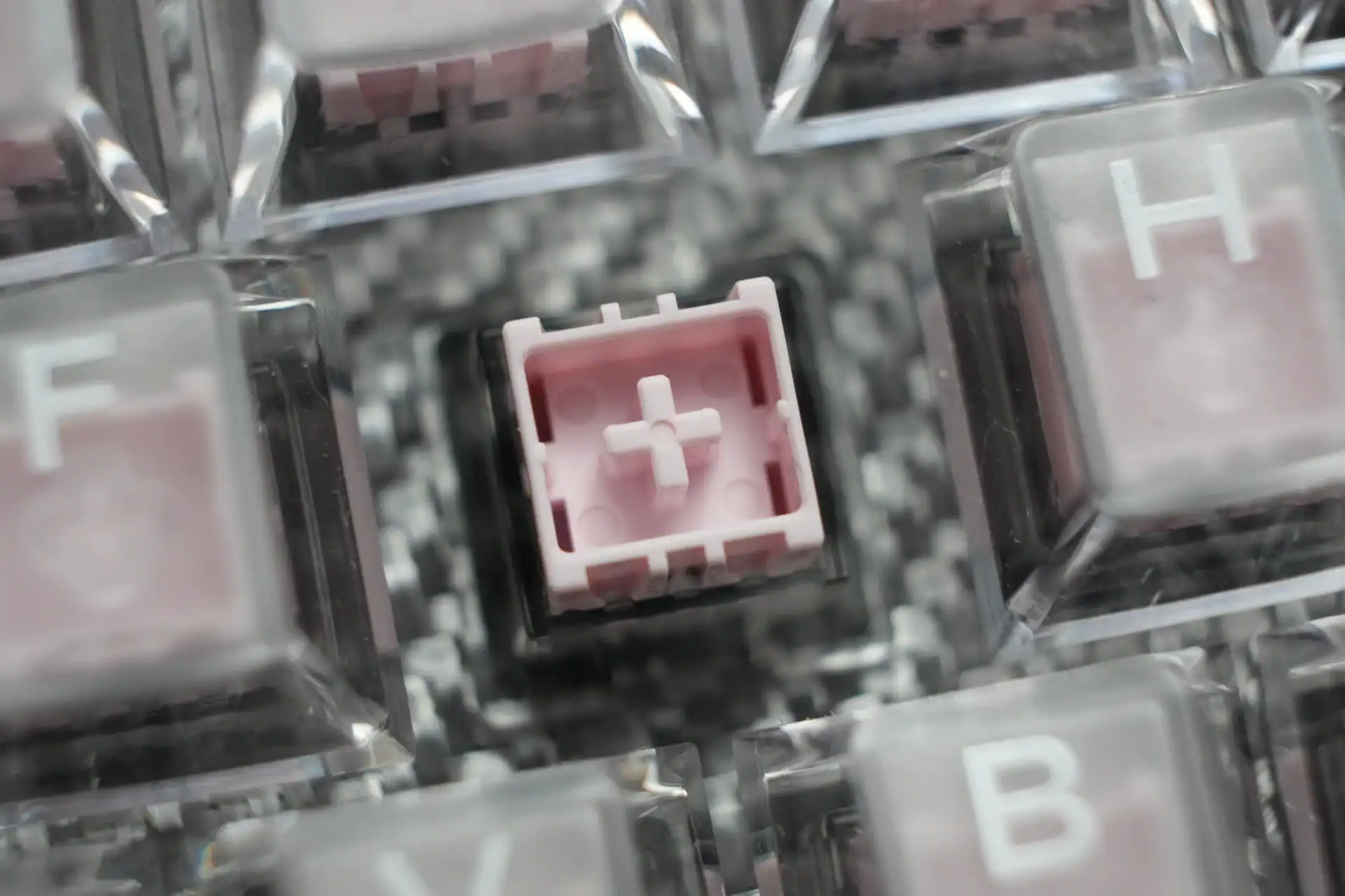 Mount Tai Pink HE GT Switch