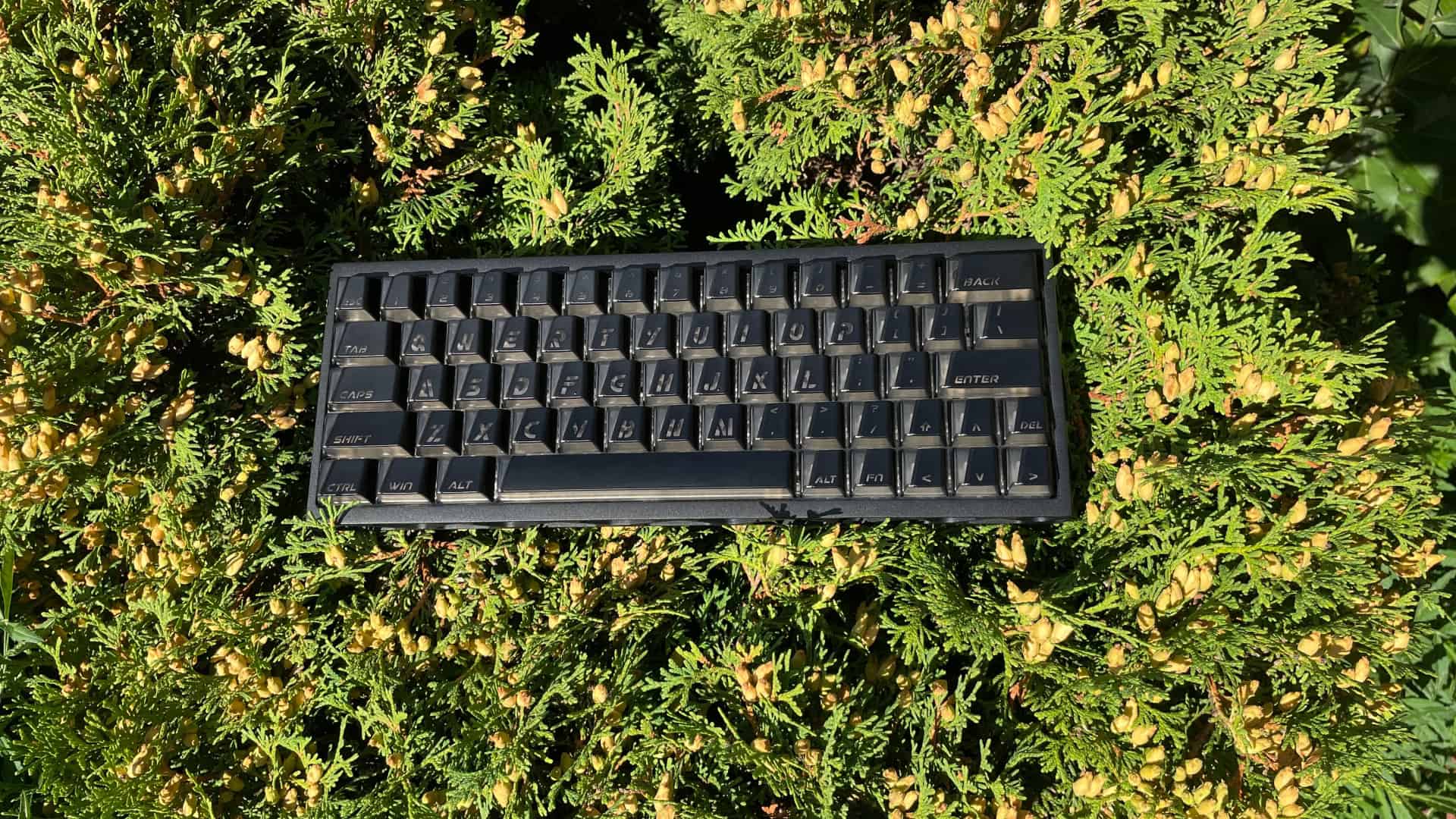 The XVX Trooper63 HE keyboard sitting in direct sunlight, highlighting its case and keycap details.
